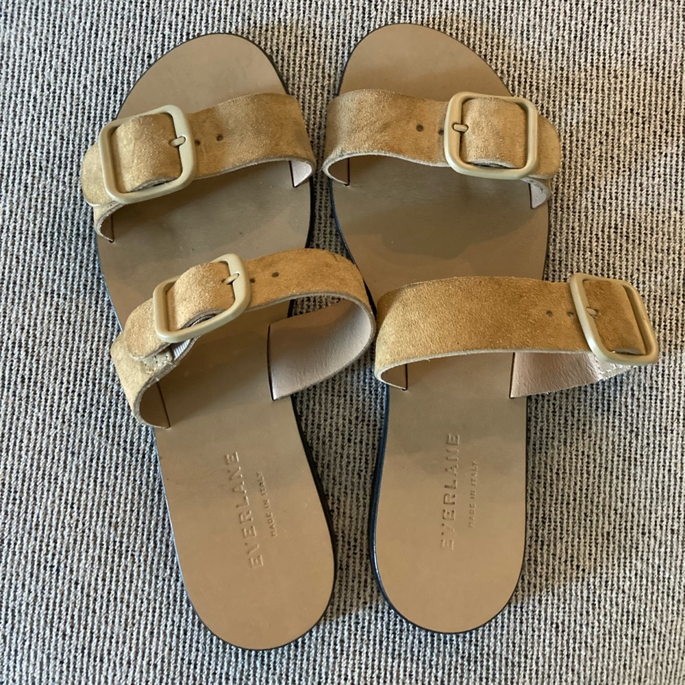 Everlane suede strappy sandal